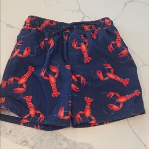 Carter's Navy Swim Shorts with Red Pattern